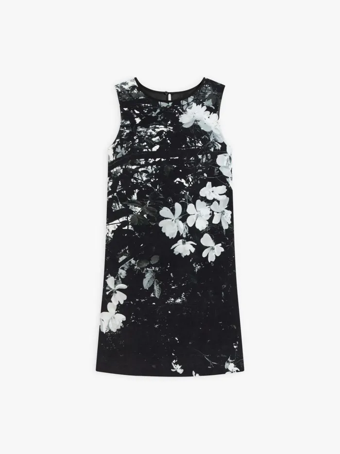 Agns B Dresses Women Black Cotton Photo King Dress