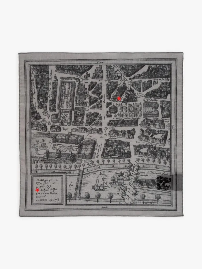 Agns B Scarves WomenMen Grey Rue Du Jour Scarf