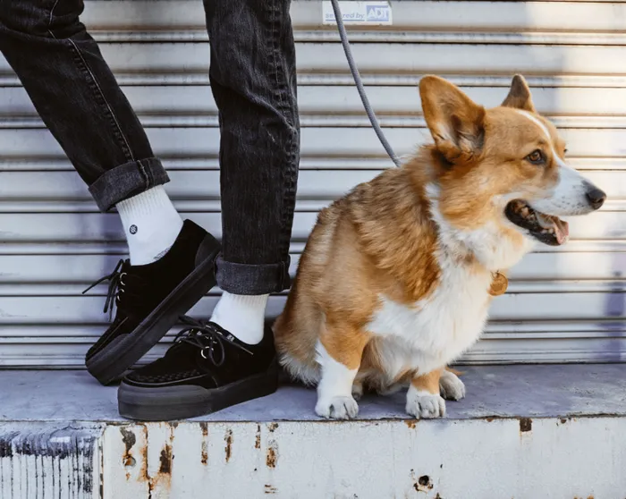 Black Suede Platform Sneaker Men TUK Shoes Sneakers Black Suede Platform Sneaker Men TUK Shoes Sneakers