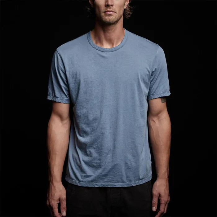 Men TShirts James Perse Luxe Lotus Jersey Tee Globe