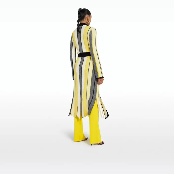Safiyaa Aiko Multicolour Canary Knit Women Knitwear