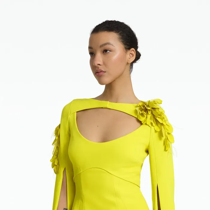 Safiyaa Mila Chartreuse Embroidered Short Dress Women Dresses