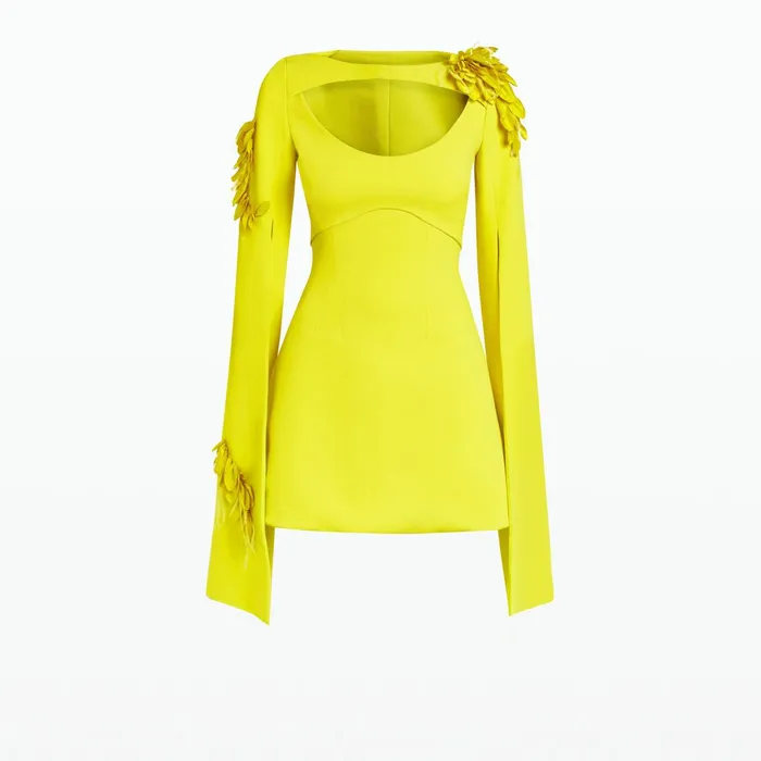 Safiyaa Mila Chartreuse Embroidered Short Dress Women Dresses