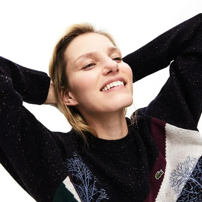 Sweaters and Sweatshirts Lacoste Womens Winter Design Cotton And Wool Blend Jacquard Sweater Navy BlueBordeauxWhiteGreen Store