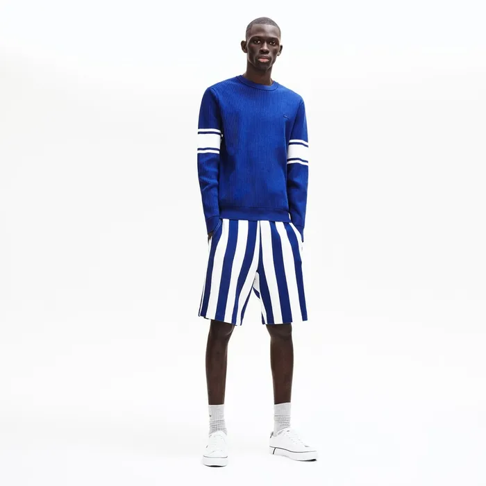 Sweaters Lacoste Mens Striped Sleeves Cotton And Linen Blend Crew Neck Sweater Navy BlueWhite Cheap On Sale
