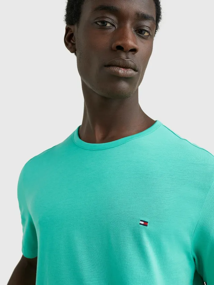 Tommy Hilfiger 1985 Collection Flag TShirt Aloha Green Mens TShirts Near Me