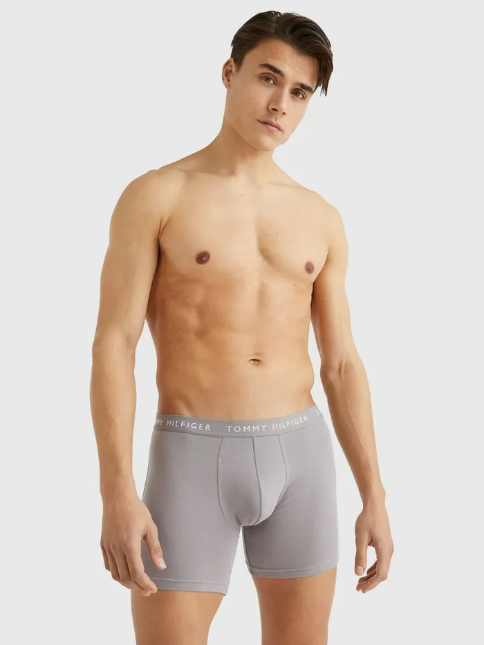 Tommy Hilfiger 3Pack Logo Waistband Boxer Briefs BlackSublunarWhite Mens Underwear Gift Ideas