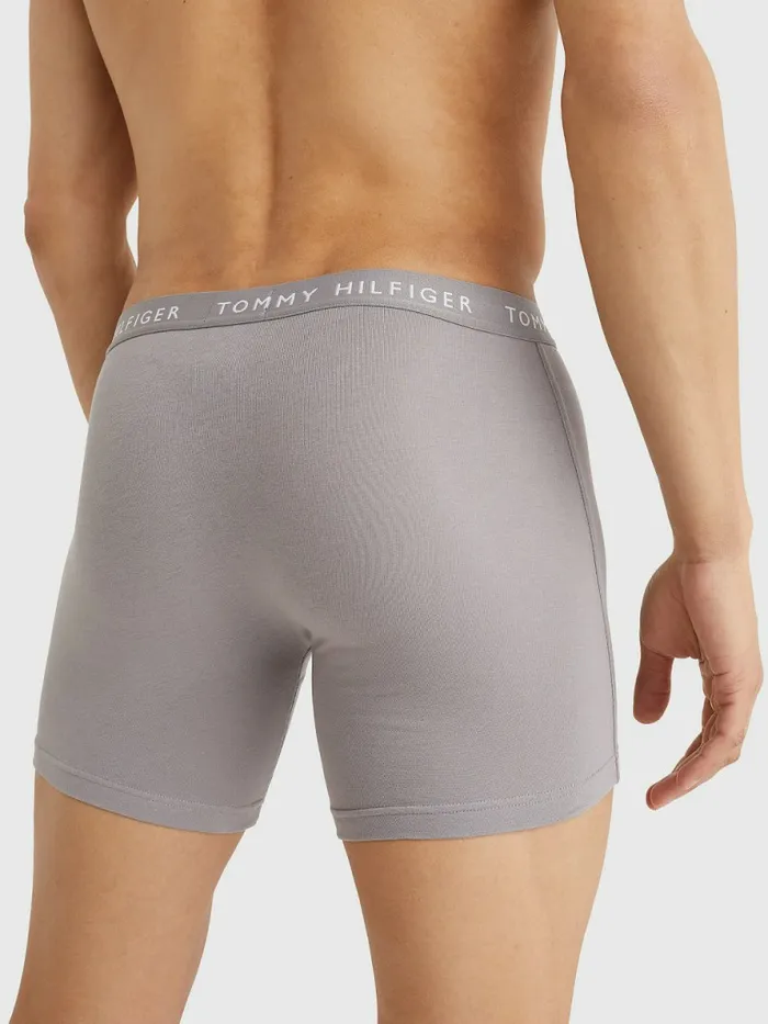 Tommy Hilfiger 3Pack Logo Waistband Boxer Briefs BlackSublunarWhite Mens Underwear Gift Ideas