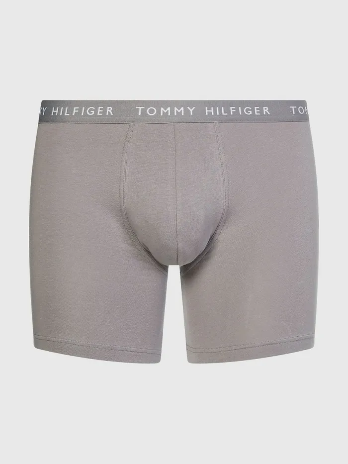 Tommy Hilfiger 3Pack Logo Waistband Boxer Briefs BlackSublunarWhite Mens Underwear Gift Ideas