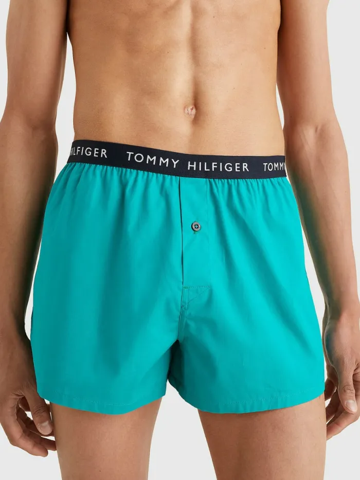 Tommy Hilfiger 3Pack Logo Waistband Boxer Shorts Desert SkyMaui GreenPale Pink Mens Underwear On Sale