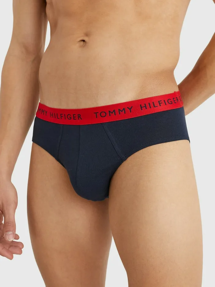 Tommy Hilfiger 3Pack Logo Waistband Briefs Des SkyPetrol BluePrim Red Mens Underwear Gift Ideas