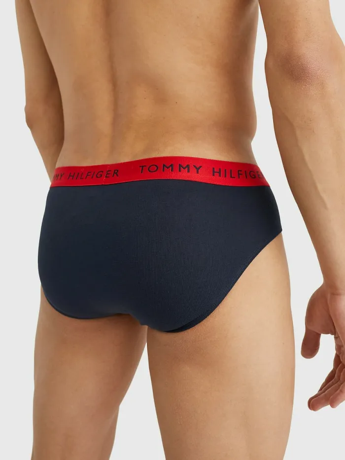Tommy Hilfiger 3Pack Logo Waistband Briefs Des SkyPetrol BluePrim Red Mens Underwear Gift Ideas