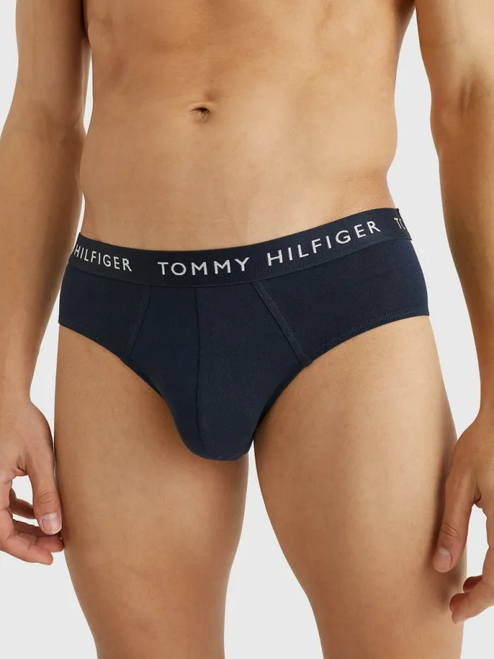 Tommy Hilfiger 3Pack Logo Waistband Briefs Des SkyPetrol BluePrim Red Mens Underwear Gift Ideas