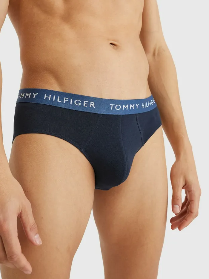 Tommy Hilfiger 3Pack Logo Waistband Briefs Des SkyPetrol BluePrim Red Mens Underwear Gift Ideas