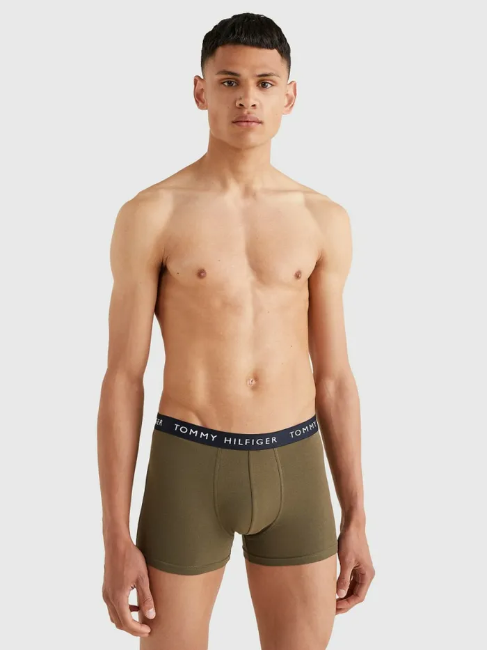 Tommy Hilfiger 3Pack Logo Waistband Trunks Des SkyLight CastArmy Grn Mens Underwear Cheap On Sale
