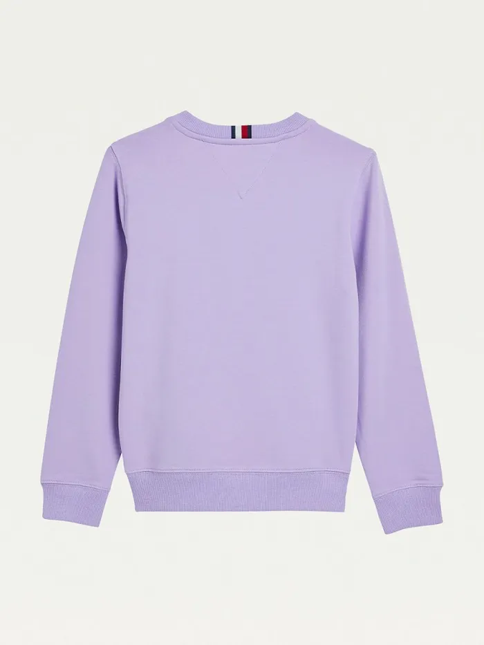 Tommy Hilfiger Crew Neck Sweatshirt Violet Viola Boys Sweatshirts and Hoodies Gift 4 You