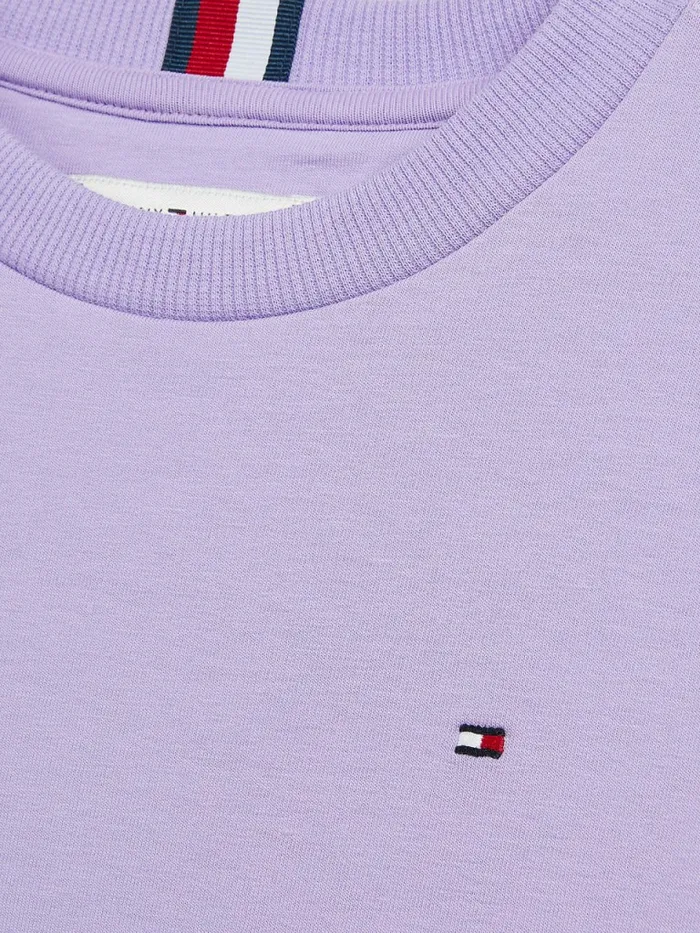 Tommy Hilfiger Crew Neck Sweatshirt Violet Viola Boys Sweatshirts and Hoodies Gift 4 You