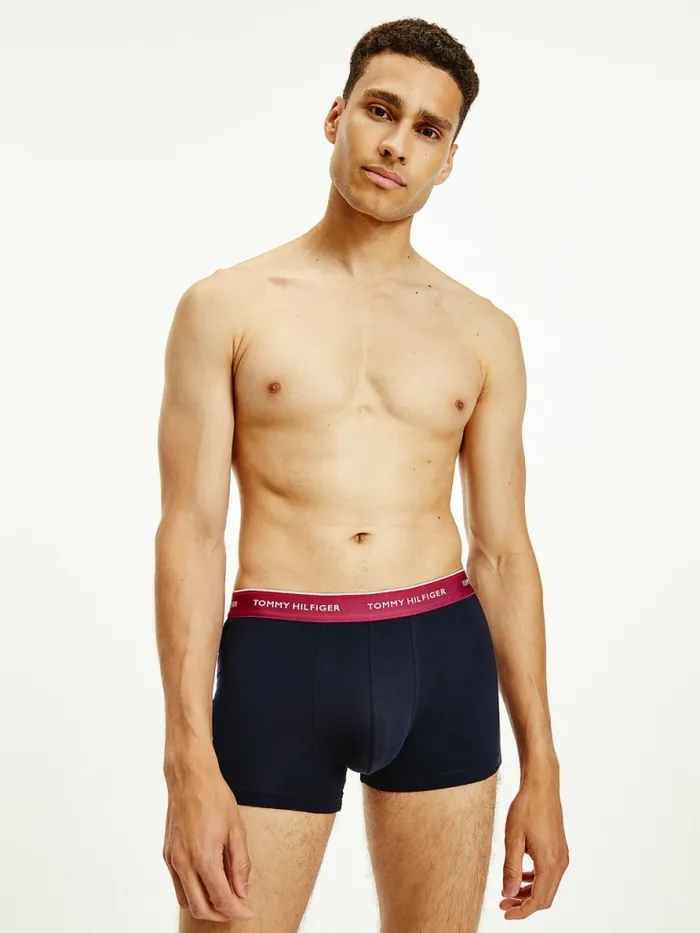 Tommy Hilfiger Exclusive 3Pack Logo Waistband Trunks Crsn RubySublunarDesert Sky Mens Underwear Sale