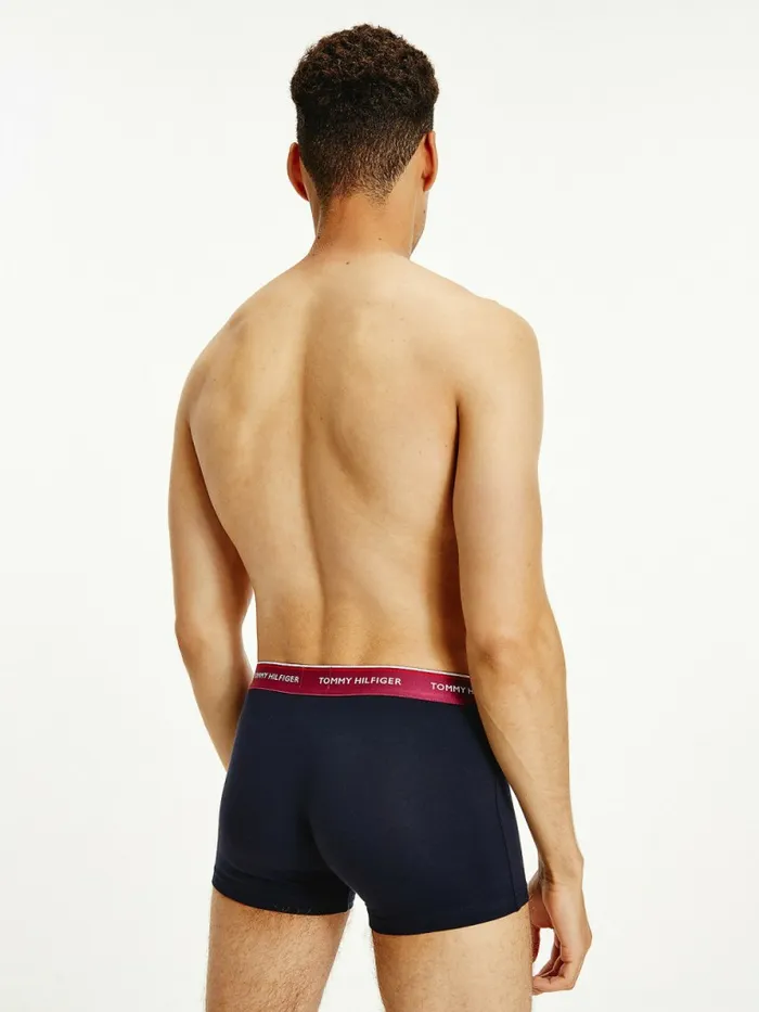 Tommy Hilfiger Exclusive 3Pack Logo Waistband Trunks Crsn RubySublunarDesert Sky Mens Underwear Sale