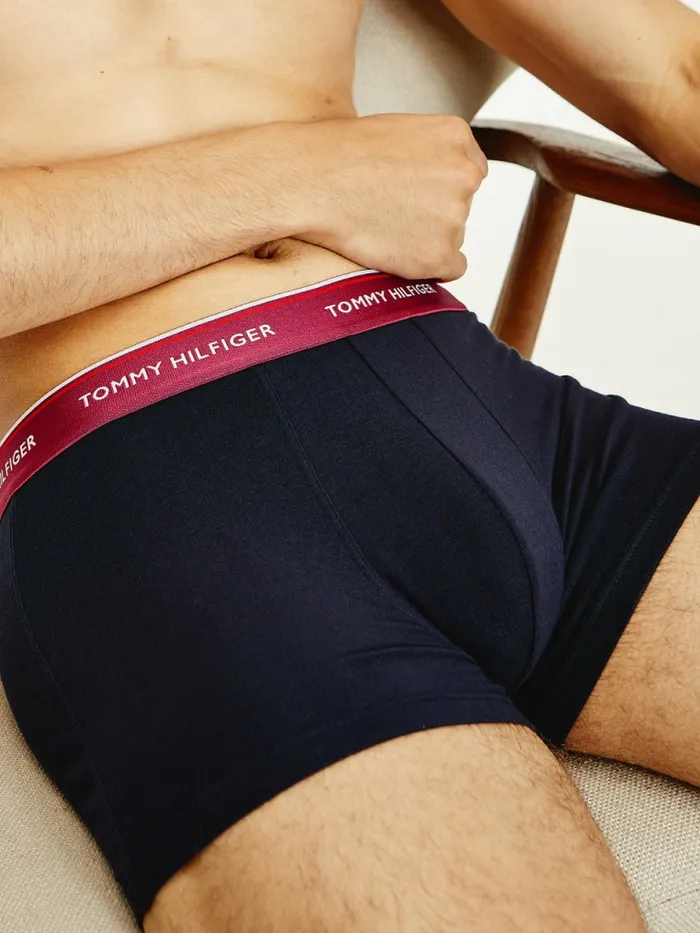 Tommy Hilfiger Exclusive 3Pack Logo Waistband Trunks Crsn RubySublunarDesert Sky Mens Underwear Sale