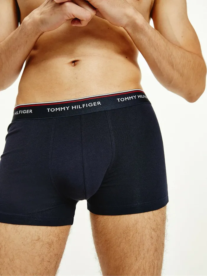 Tommy Hilfiger Exclusive 3Pack Logo Waistband Trunks Crsn RubySublunarDesert Sky Mens Underwear Sale