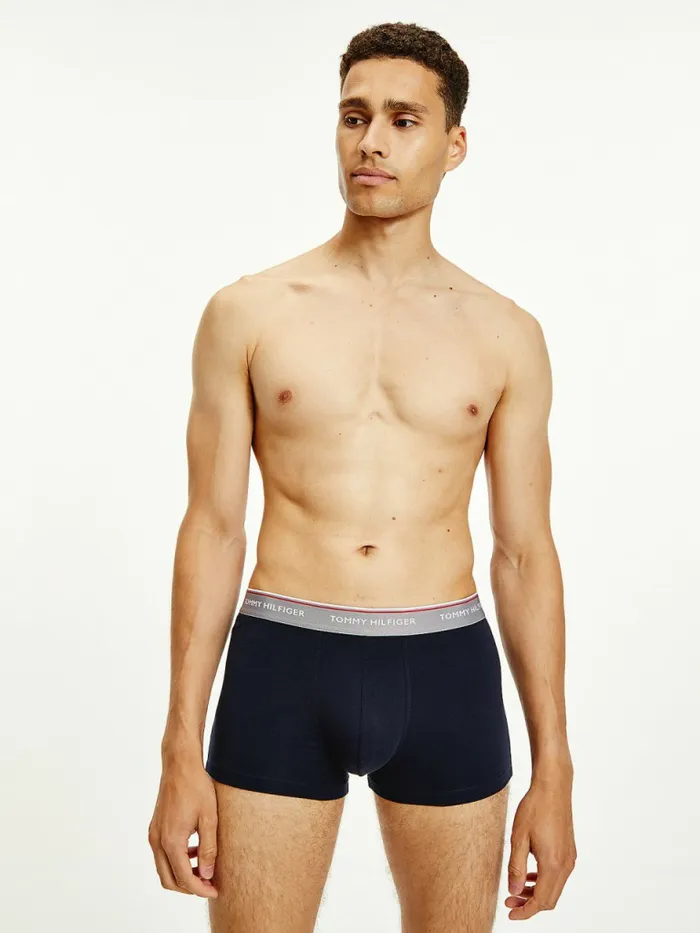 Tommy Hilfiger Exclusive 3Pack Logo Waistband Trunks Crsn RubySublunarDesert Sky Mens Underwear Sale