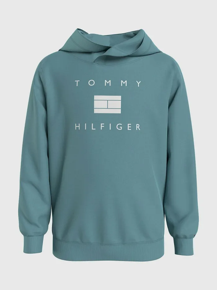 Tommy Hilfiger Flag Logo Hoody Crest Boys Sweatshirts and Hoodies For Sale