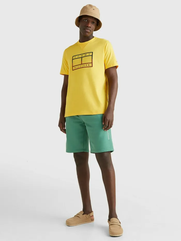 Tommy Hilfiger Linear Flag Embroidery TShirt Warm Yellow Mens TShirts Near Me