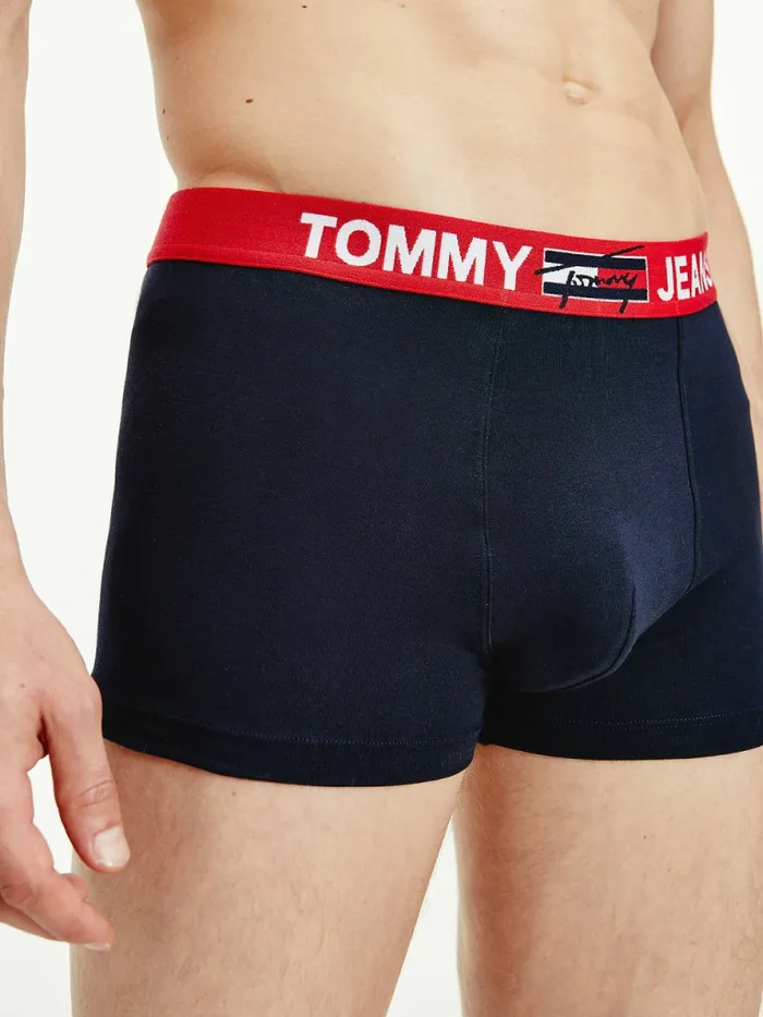 Tommy Hilfiger Logo Waistband Trunks Desert Sky Mens Underwear Near Me