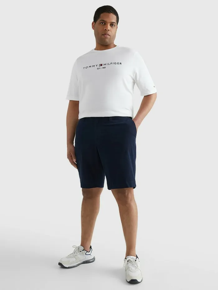 Tommy Hilfiger Plus 1985 Collection Organic Cotton Shorts Desert Sky Mens Shorts Casaul