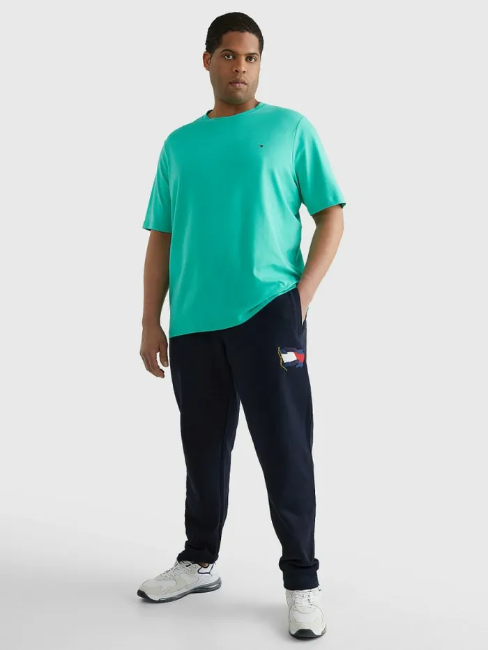 Tommy Hilfiger Plus Stretch Organic Cotton Slim Fit TShirt Aloha Green Mens TShirts Casaul