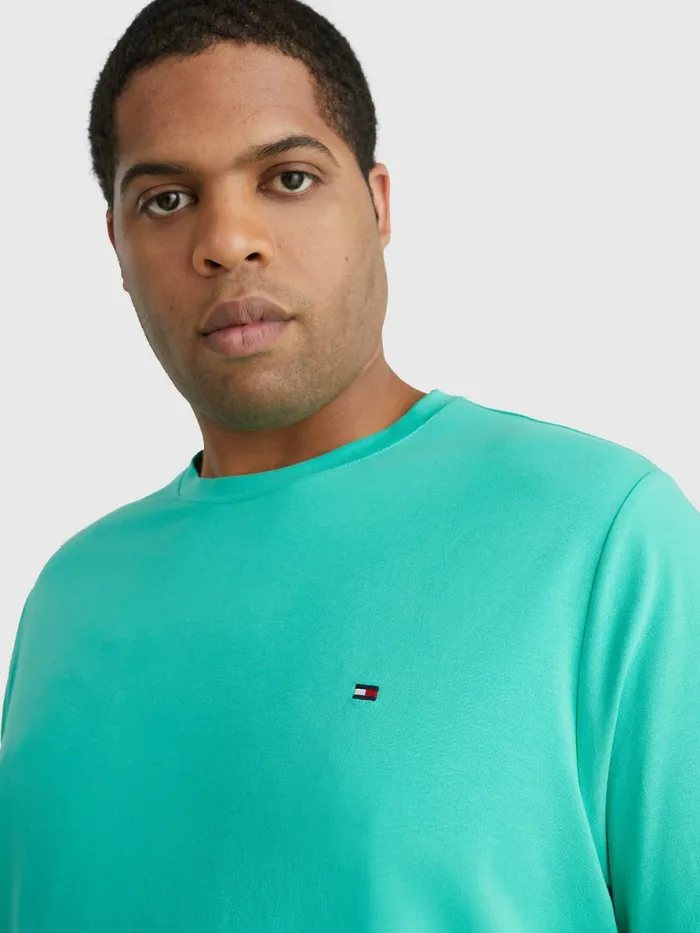 Tommy Hilfiger Plus Stretch Organic Cotton Slim Fit TShirt Aloha Green Mens TShirts Casaul
