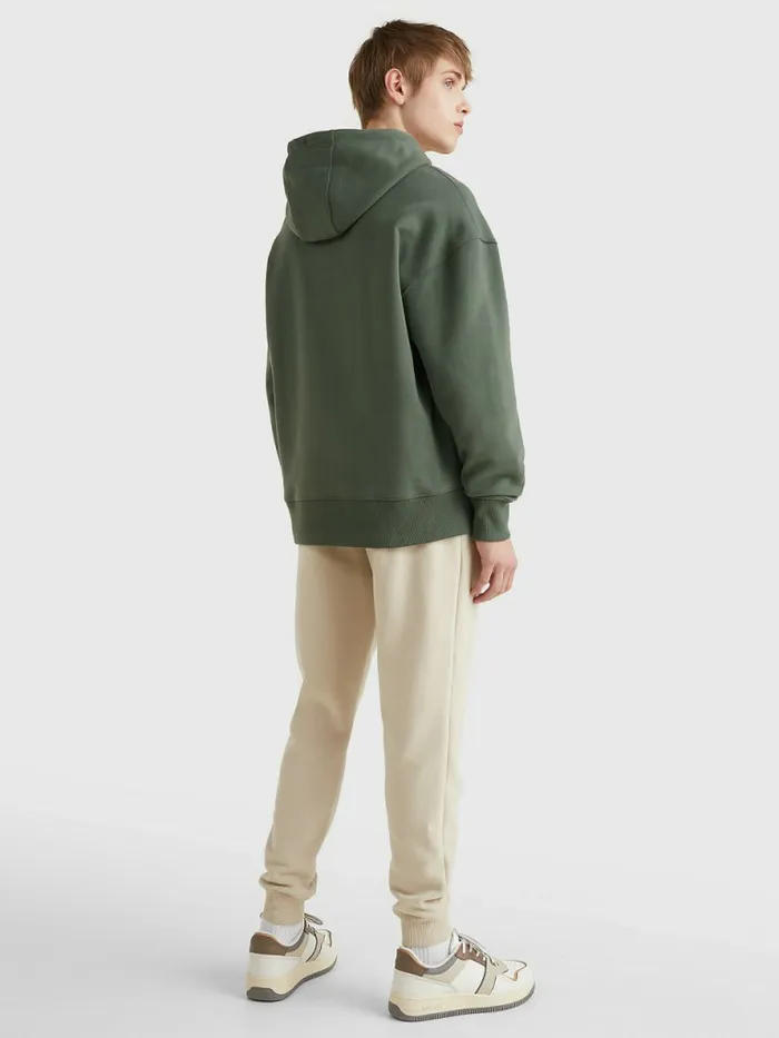 Tommy Hilfiger Signature Logo Relaxed Fit Hoody Avalon Green Mens Sweatshirts and Hoodies Casaul