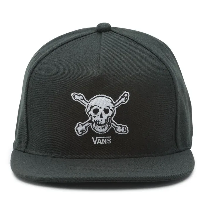 Vans Hats and Beanies Mens Anaheim Factory Skull Snapback Hat OG Skulls